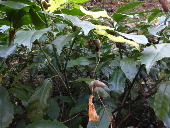 c0245666_21482229.jpg