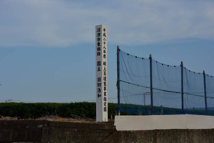 b0346568_20342546.jpg