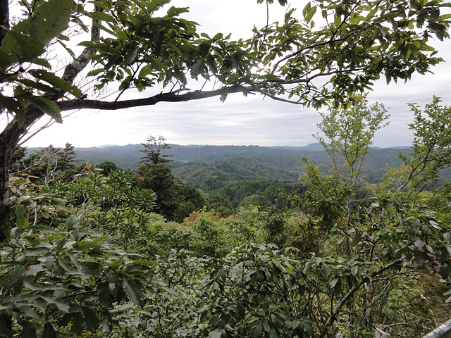 b0006870_2031285.jpg