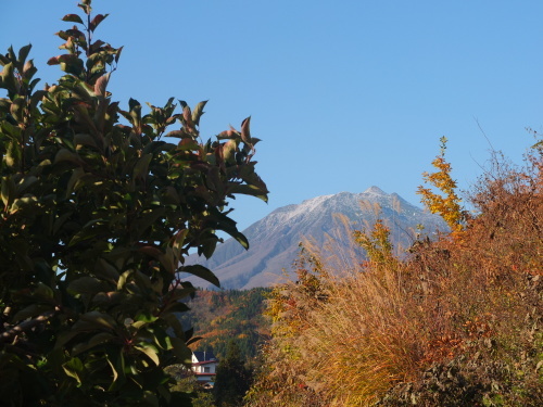 c0361473_20475595.jpg