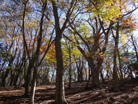 名に違わぬ大障子岩（大分県豊後大野市）_d0182075_01313249.jpg