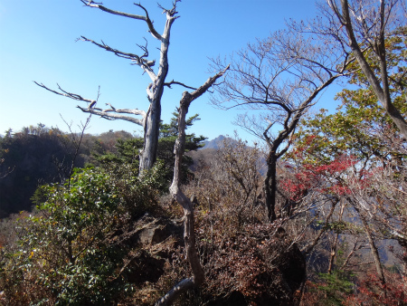 名に違わぬ大障子岩（大分県豊後大野市）_d0182075_01315829.jpg