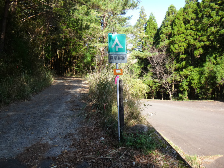 名に違わぬ大障子岩（大分県豊後大野市）_d0182075_01345937.jpg