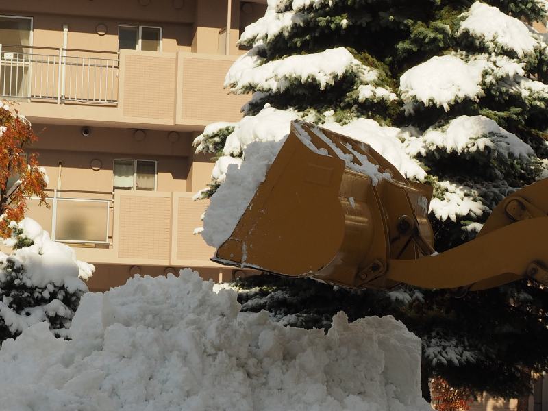 雪がものすごく降ったり、晴れたりの「今シーズン札幌市内初雪」の半日　１１０６　_c0183777_5115023.jpg