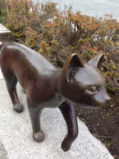 柿くんレポート(8) 函館編⑤_e0355177_20215833.jpg