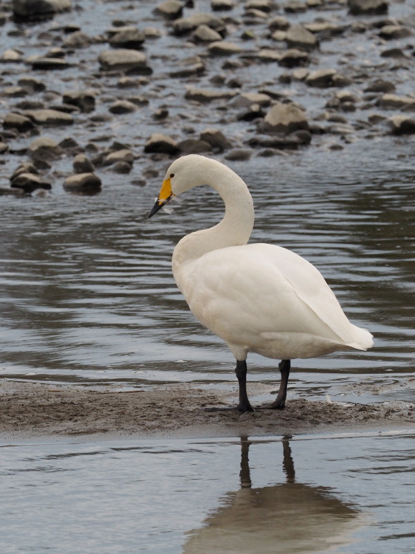f0372177_2012114.jpg