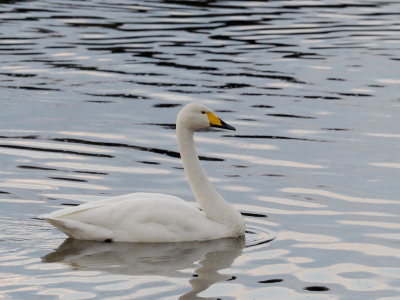 f0372177_20121338.jpg