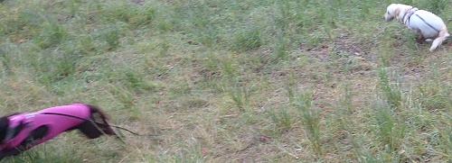 b0136381_14111724.jpg