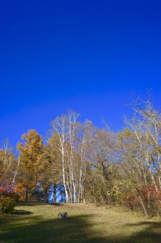 a0198883_17420716.jpg