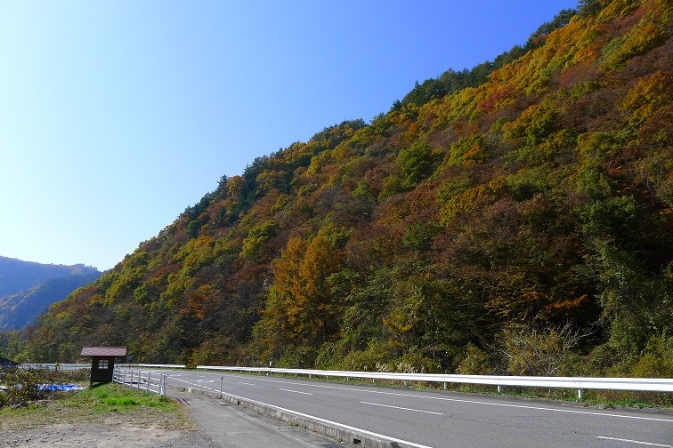 a0130586_1852990.jpg