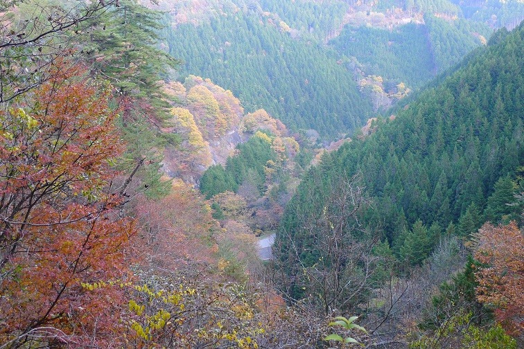 a0130586_1924770.jpg
