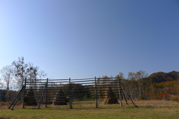 a0130586_1965050.jpg