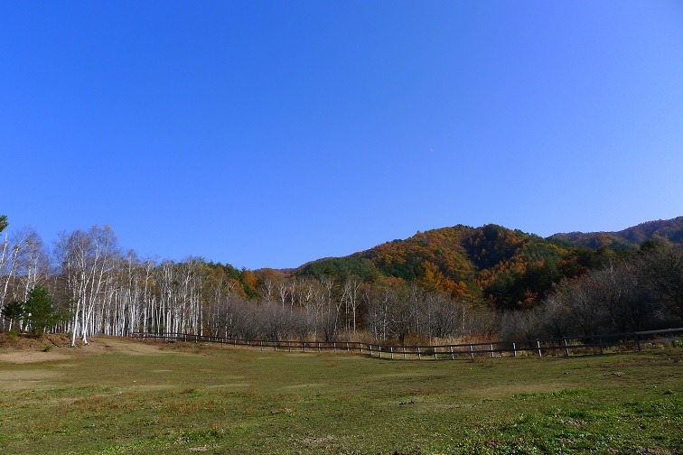 a0130586_1972574.jpg