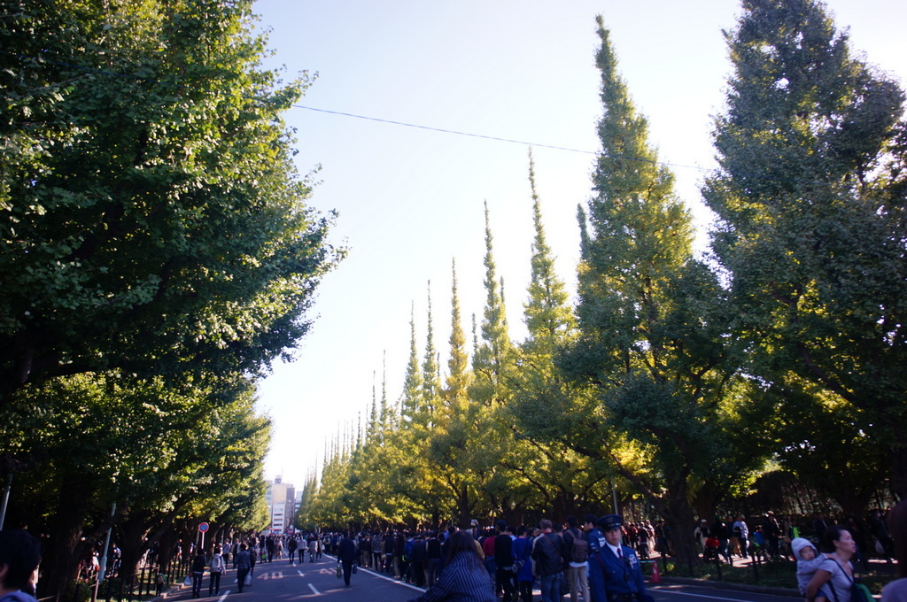 ドイツフェスティバル2016_c0180686_09553217.jpg