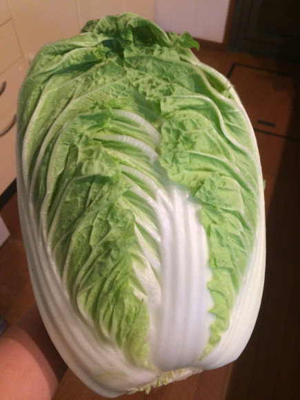e0303386_14345122.jpg