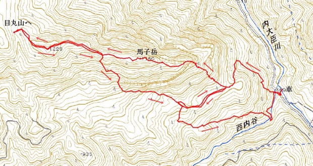 馬子岳周回（11月6日）_f0357487_22304156.jpg