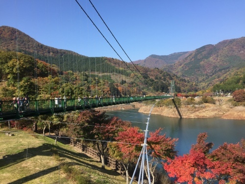 e0152990_15512157.jpeg