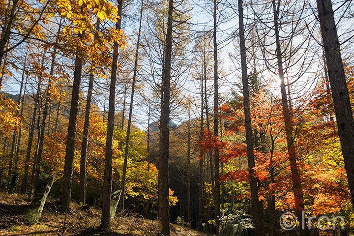 紅葉の瑞牆！_c0173794_16053139.jpg