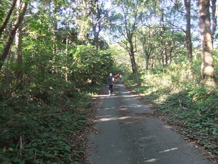 e0048994_02570923.jpg