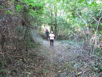 e0048994_02590714.jpg