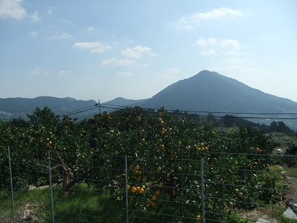 e0048994_03301741.jpg
