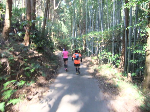 e0048994_03400258.jpg
