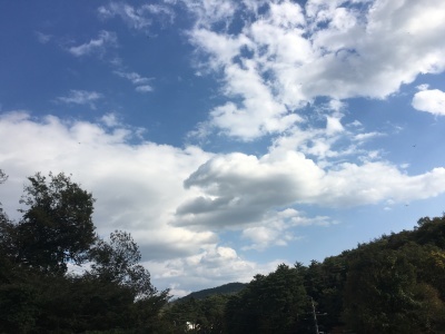 c0221896_23094413.jpg
