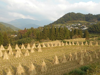 f0308898_754072.jpg