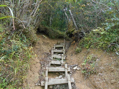 f0308898_7551266.jpg