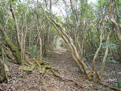 f0308898_7552226.jpg