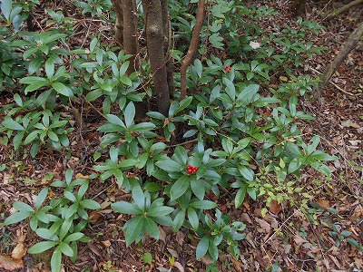 f0308898_7553034.jpg
