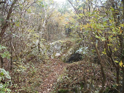 f0308898_7553797.jpg