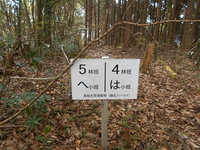 f0308898_7555037.jpg