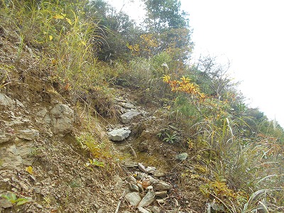 f0308898_755538.jpg