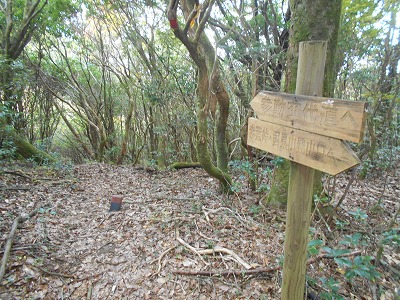 f0308898_7555831.jpg