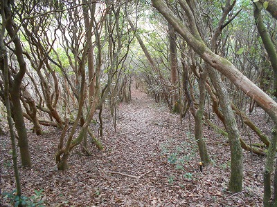 f0308898_7561778.jpg