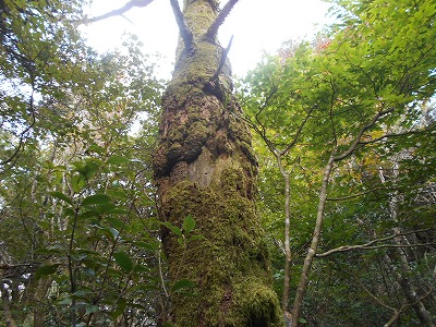 f0308898_7563138.jpg