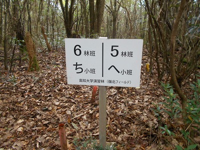 f0308898_7563960.jpg