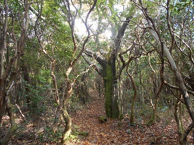 f0308898_7564656.jpg
