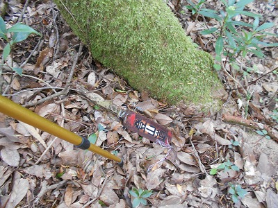 f0308898_756722.jpg