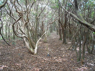 f0308898_7572525.jpg