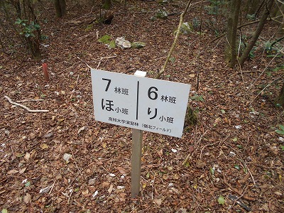 f0308898_7573345.jpg