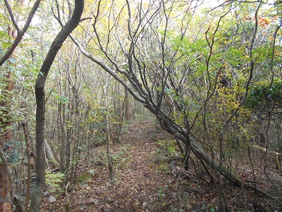 f0308898_7575380.jpg