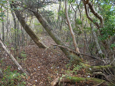 f0308898_7582660.jpg