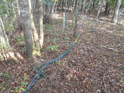 f0308898_7591871.jpg