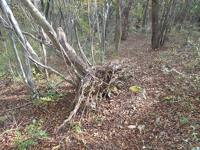 f0308898_759327.jpg