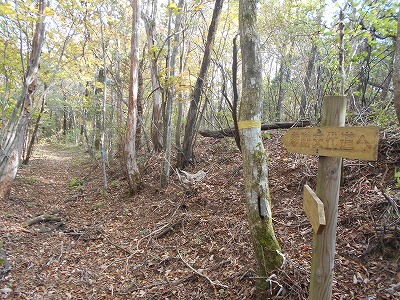 f0308898_7594490.jpg
