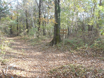 f0308898_7595120.jpg