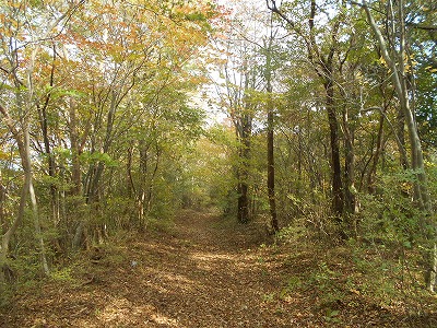f0308898_7595843.jpg