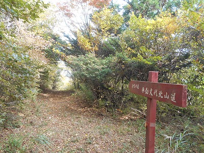 f0308898_80530.jpg